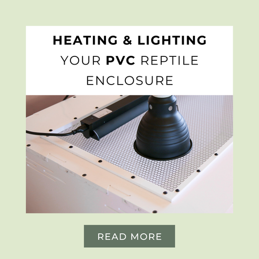 Complete Guide to Heating and Lighting Your PVC Reptile Enclosure