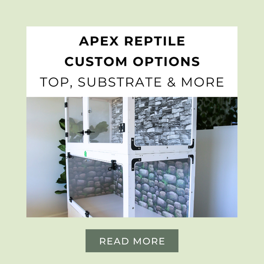 Every Apex Reptile Modular PVC Enclosure Option & Customization Explained