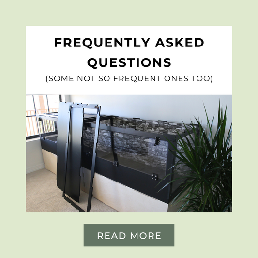 Frequently Asked Questions (& Some Not So Frequently Asked Ones Too)