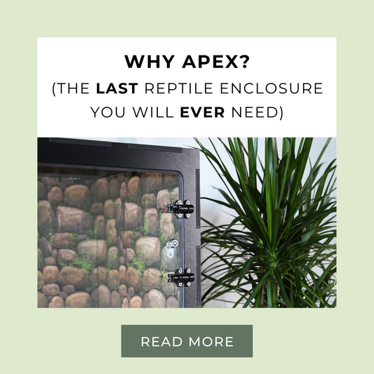 The Last Reptile Enclosure You Will Ever Need - Apex Reptile™ Modular PVC Enclosure