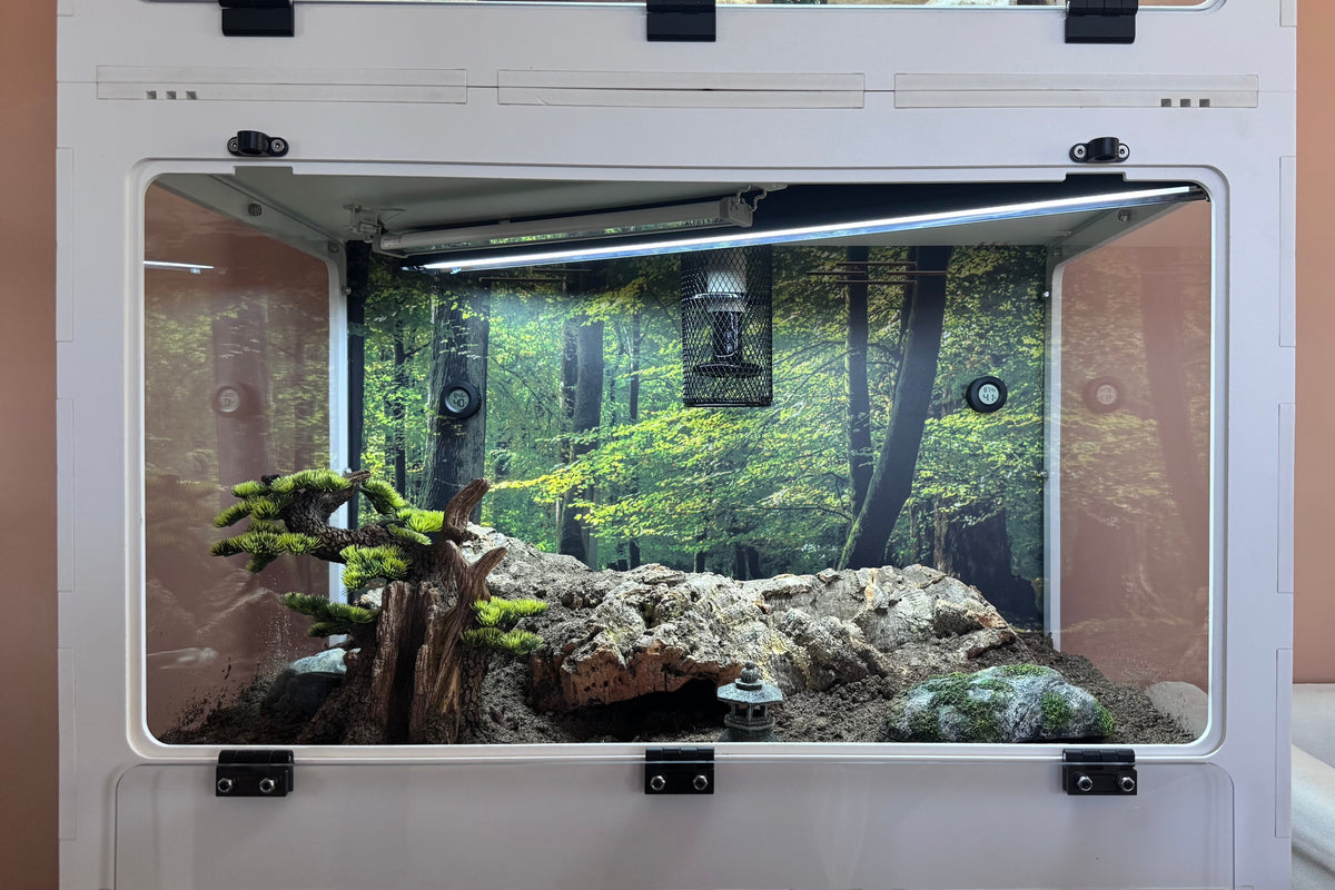 3'x2'x2' Swing Down - Black Premium HDPE Reptile Enclosure