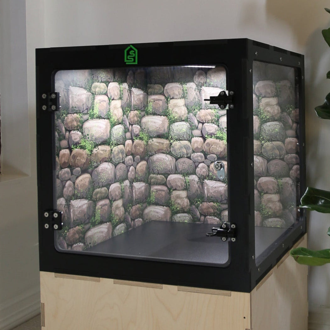 The Best Gift for A Reptile Friend – Apex Reptile