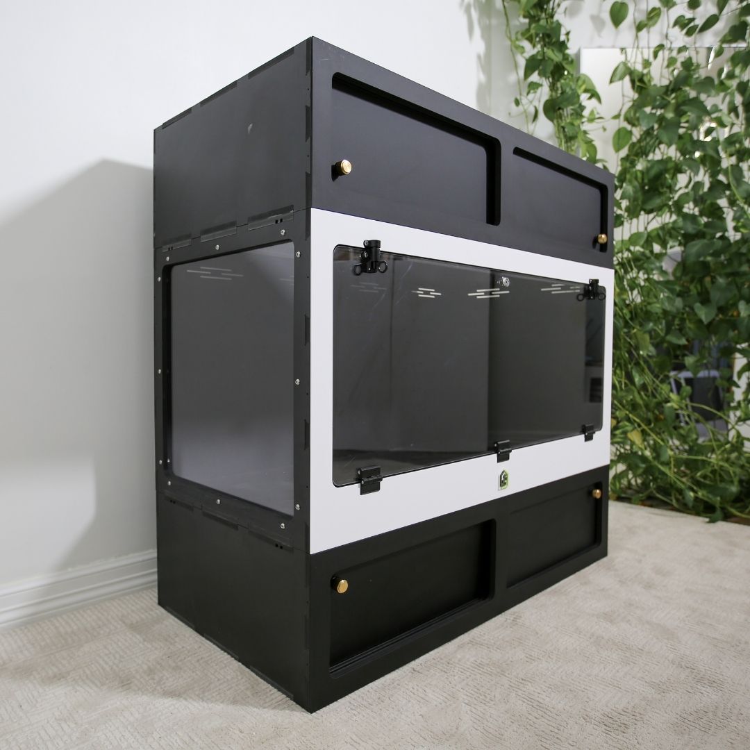 The Best Gift for A Reptile Friend – Apex Reptile